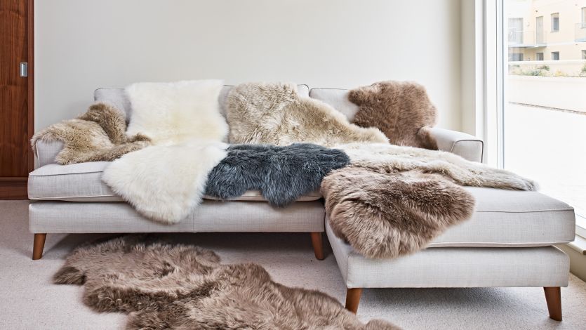 The Best Place to Buy Sheepskin Rugs Online in the UK