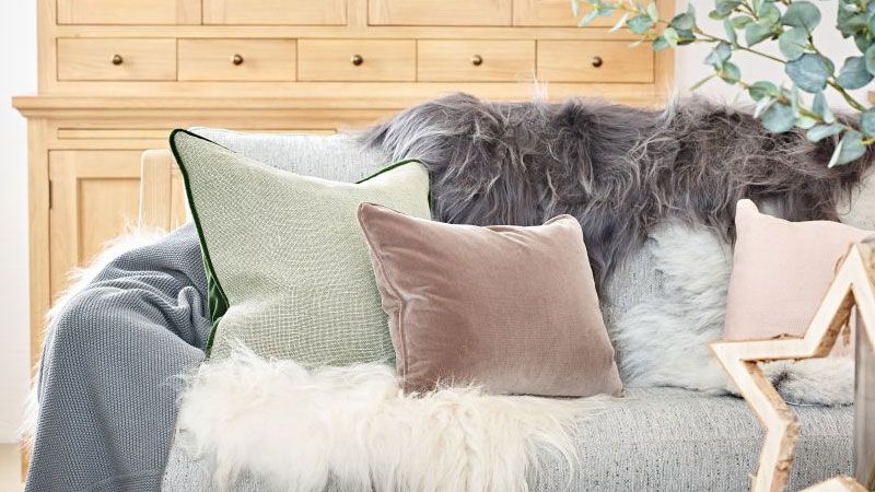 Sheepskin Throws for Sofas Becoming More Popular