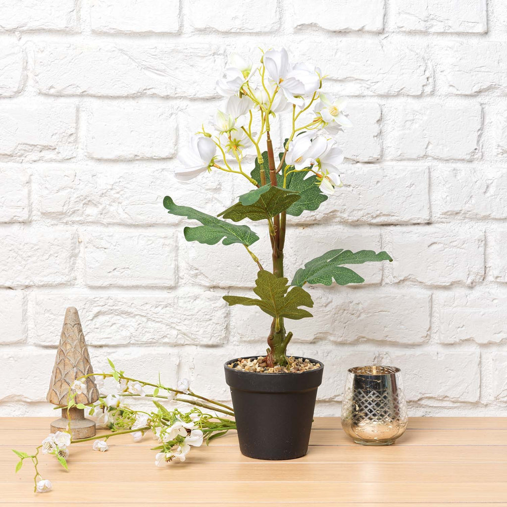 Cherry blossom Bonsai Tree 42cm