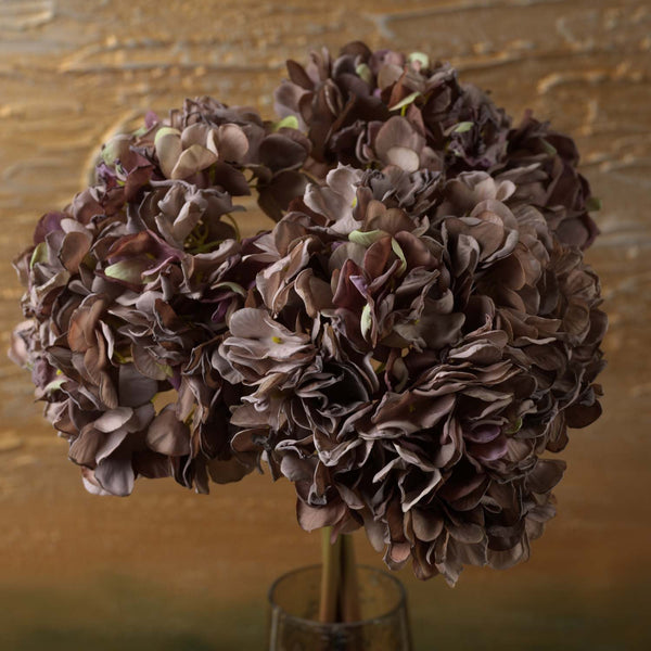 HYDRANGEA stem 60cm