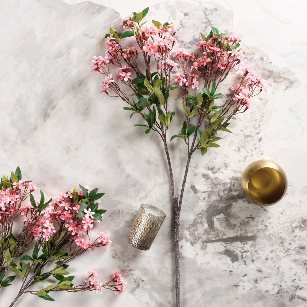 Prunus persica branch 91cm