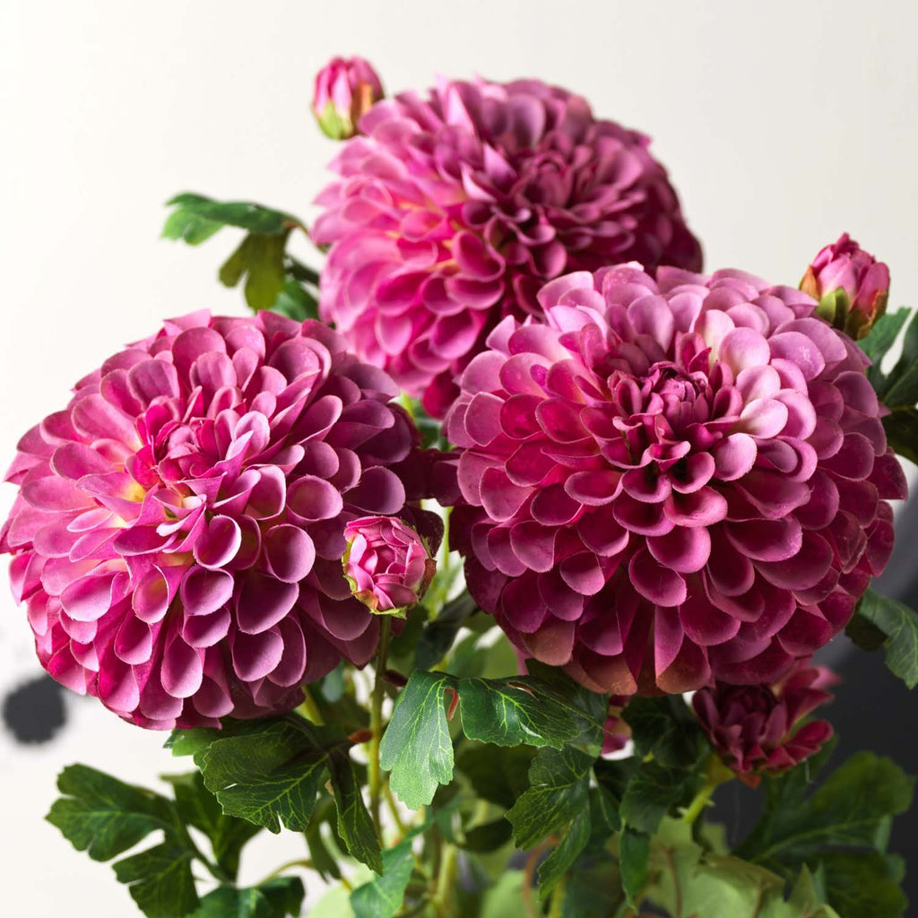 Pompon Dahlia Spray 68cm