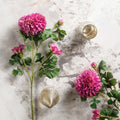 Pompon Dahlia Spray 68cm