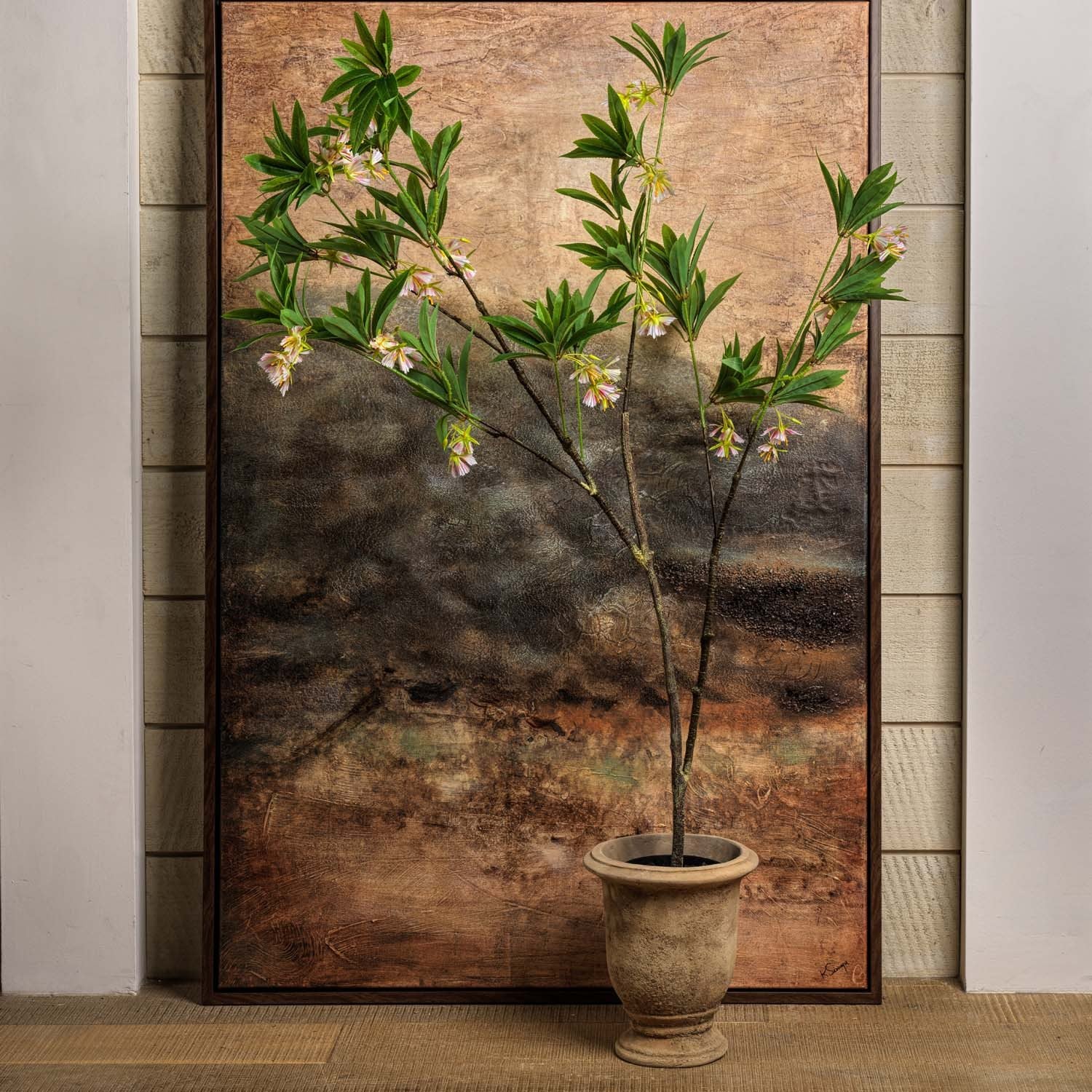 HAINAN ELAEOCARPUS BONSAI 130cm