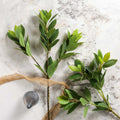 leaf spray 80cm