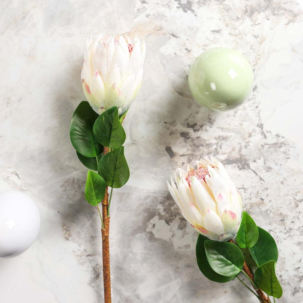 Protea Stem Open 68cm