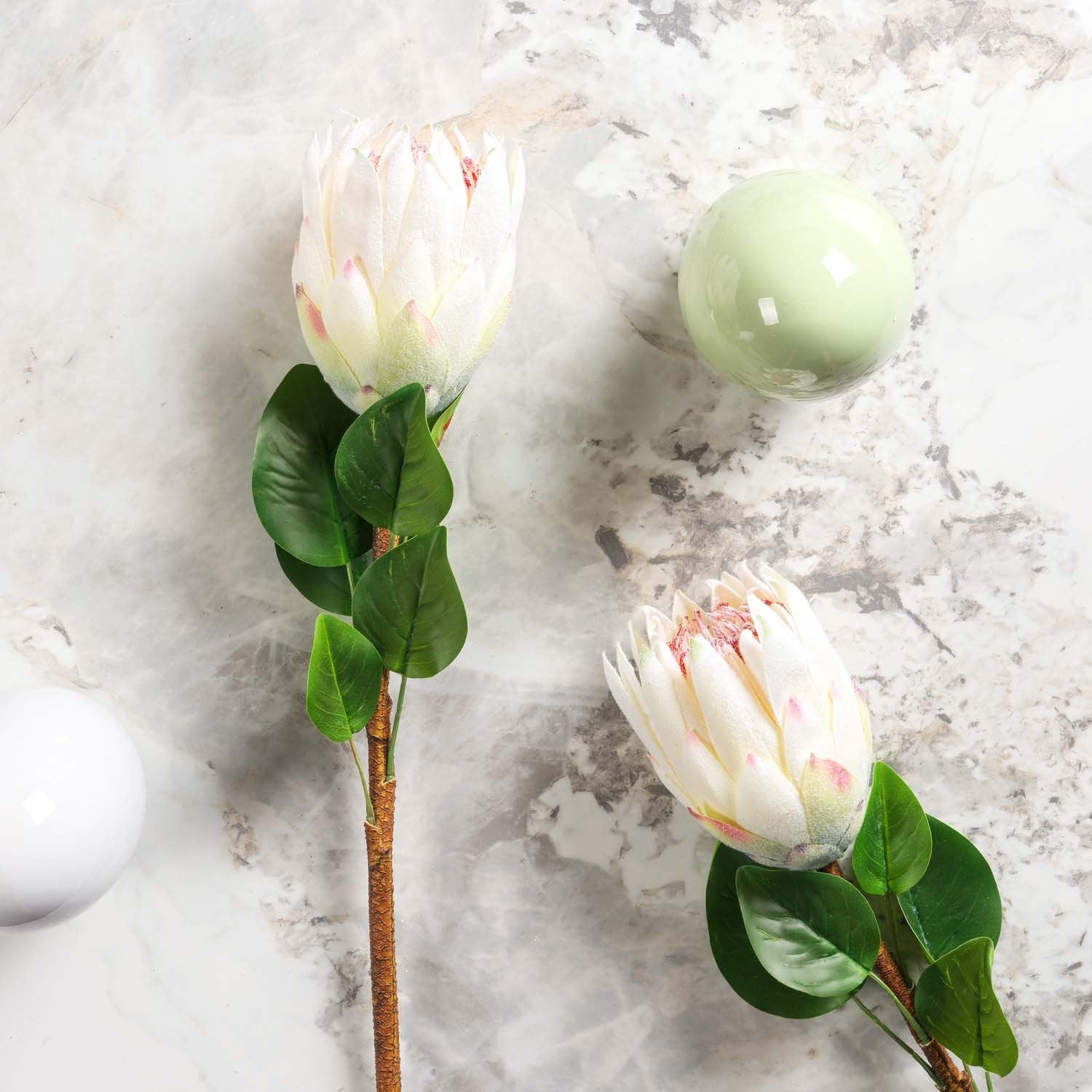 Protea Stem Open 68cm