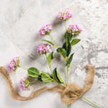HYDRANGEA blooms 64cm