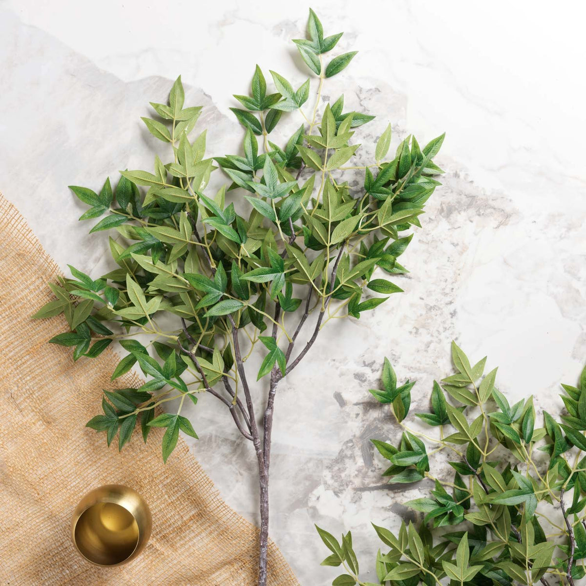 Heavenly Bamboo Stem 110cm