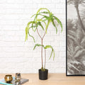 FERN BONSAI 90cm