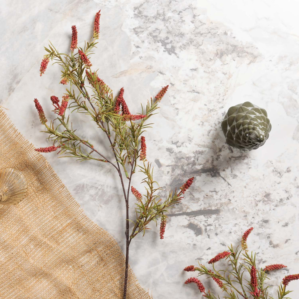 foxtail grass 104cm