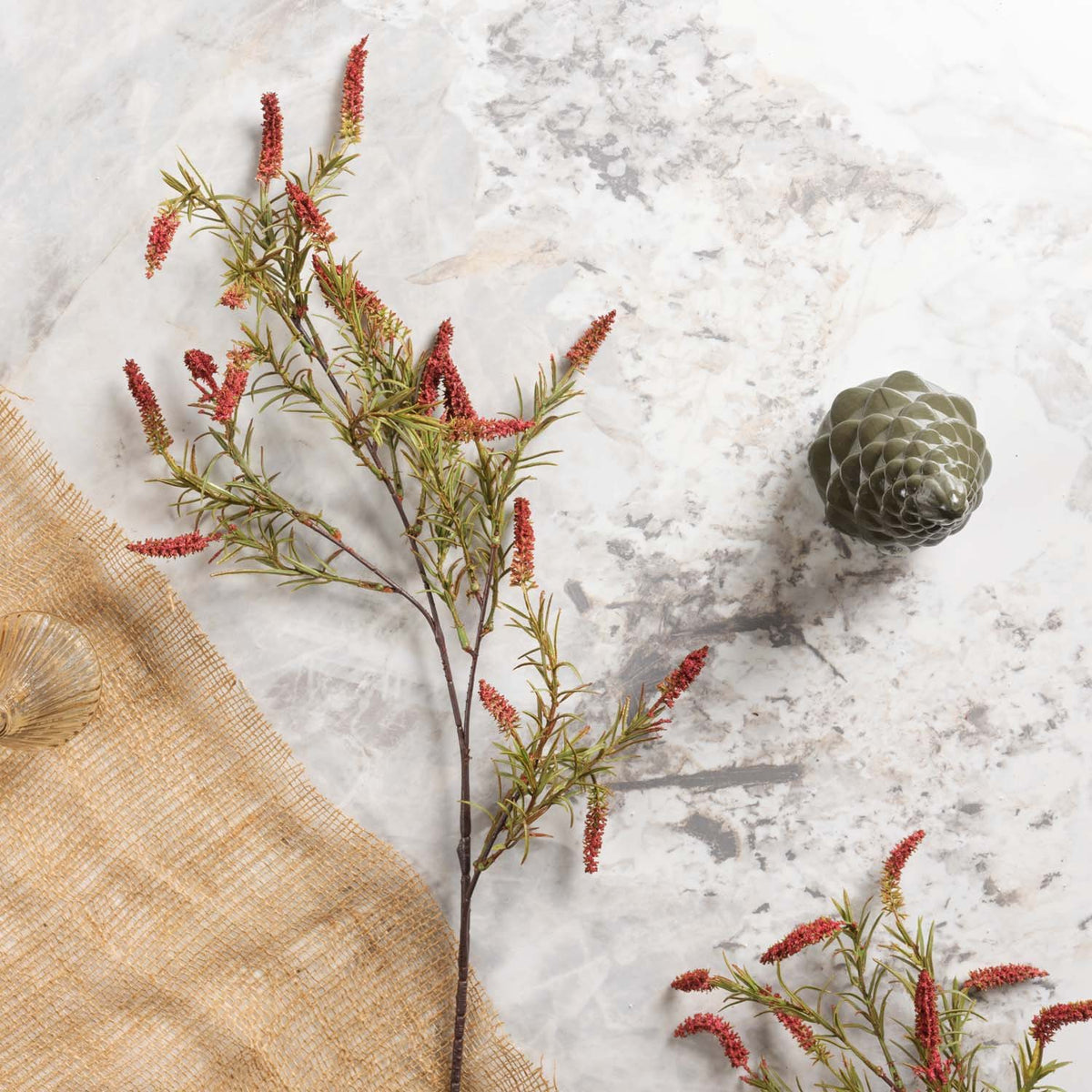 foxtail grass 104cm