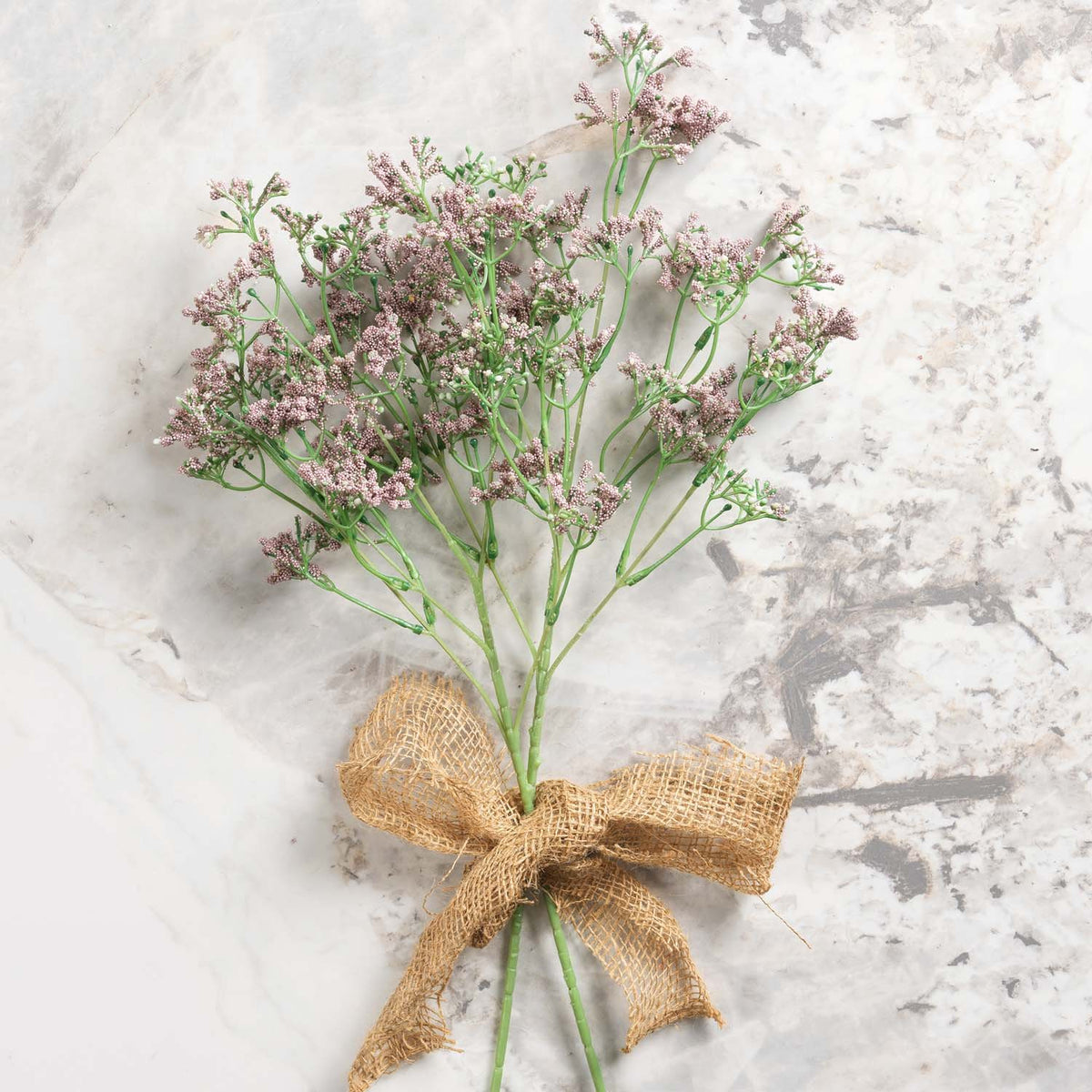 Gypsophila paniculata 68cm