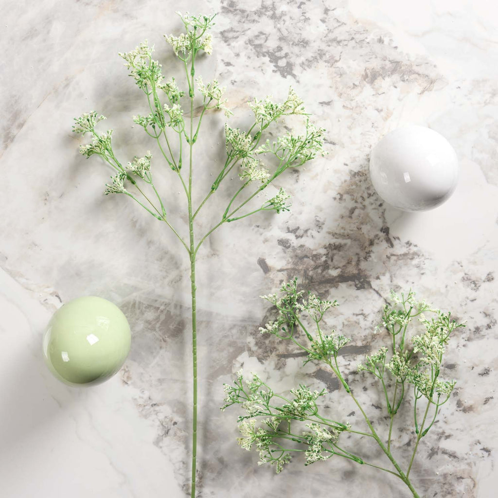 Gypsophila paniculata 68cm