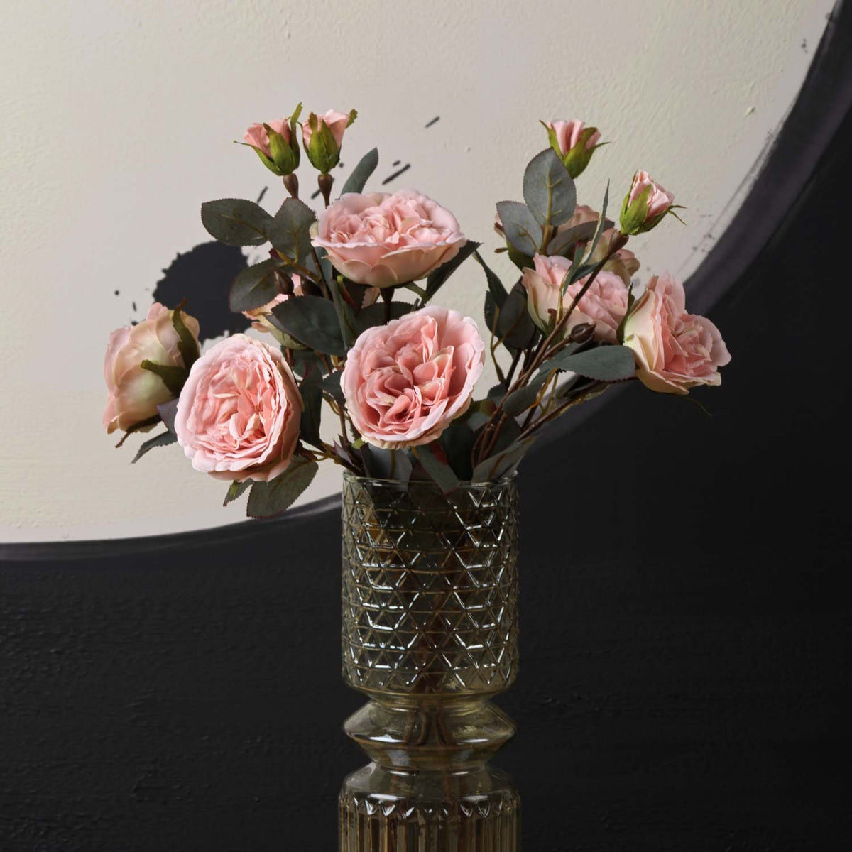 Camellia Japonica 51.5cm