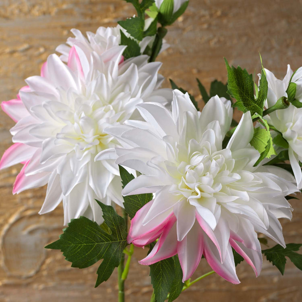 DAHLIA 79cm