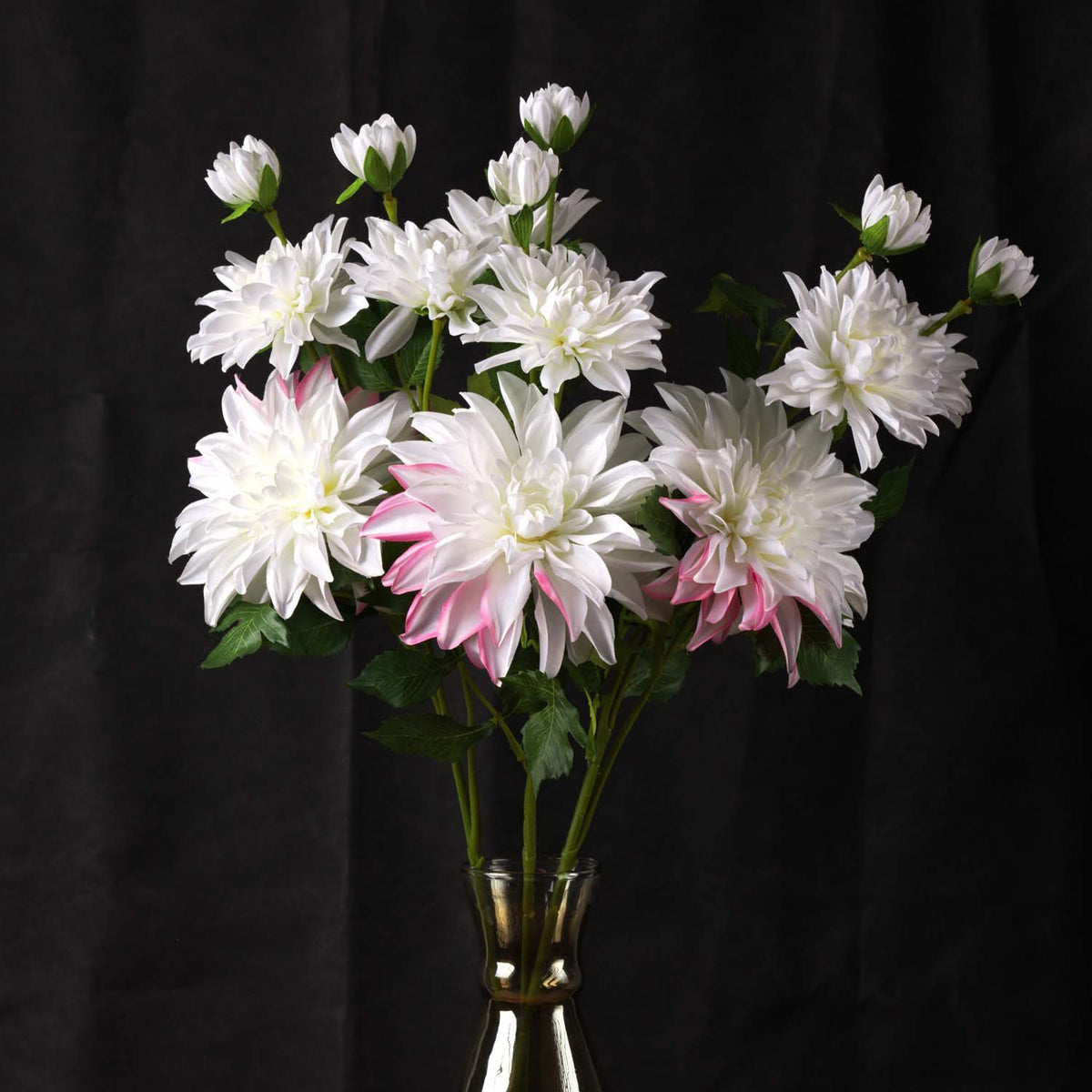 DAHLIA 86cm