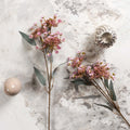 KALMIA LATIFOLIA 67cm