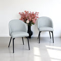 Jupiter Dining Chair in Light Grey (Set of 2)