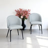 Jupiter Dining Chair in Light Grey (Set of 2)