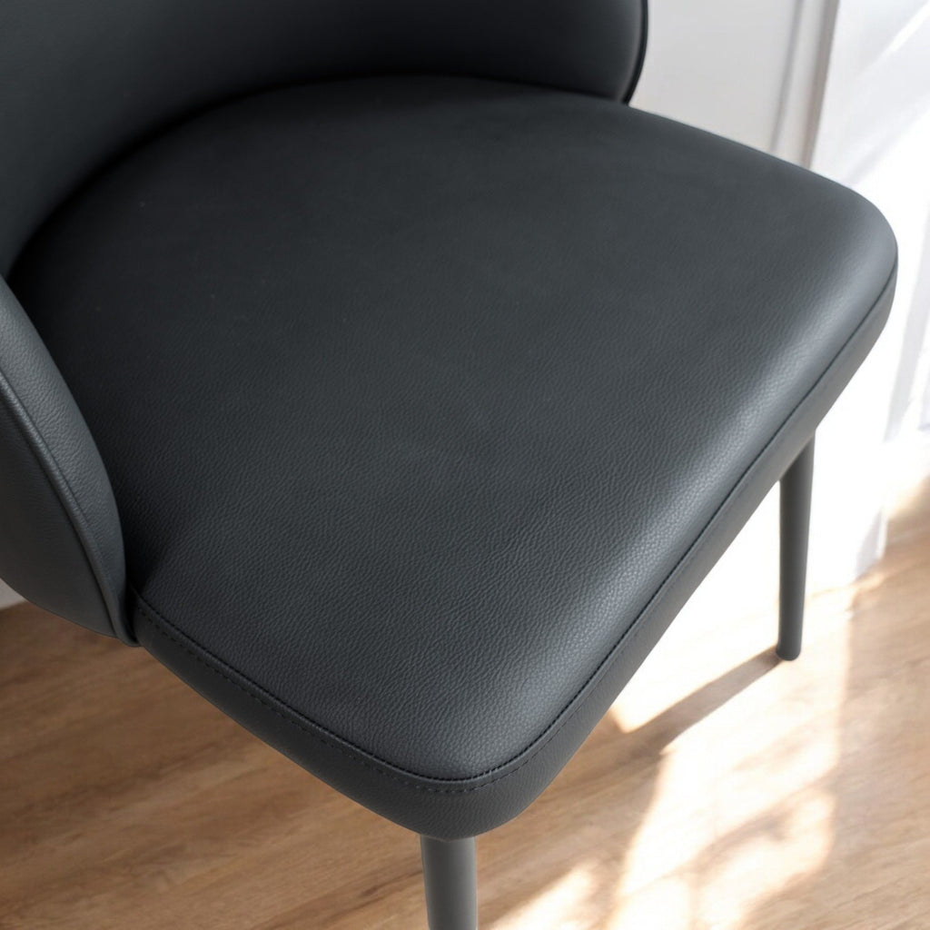 Jupiter Dining Chair in Black (Set of 2)