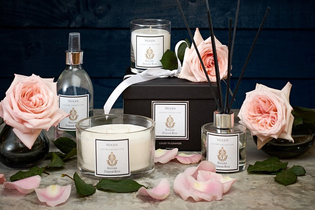 English Damask Rose