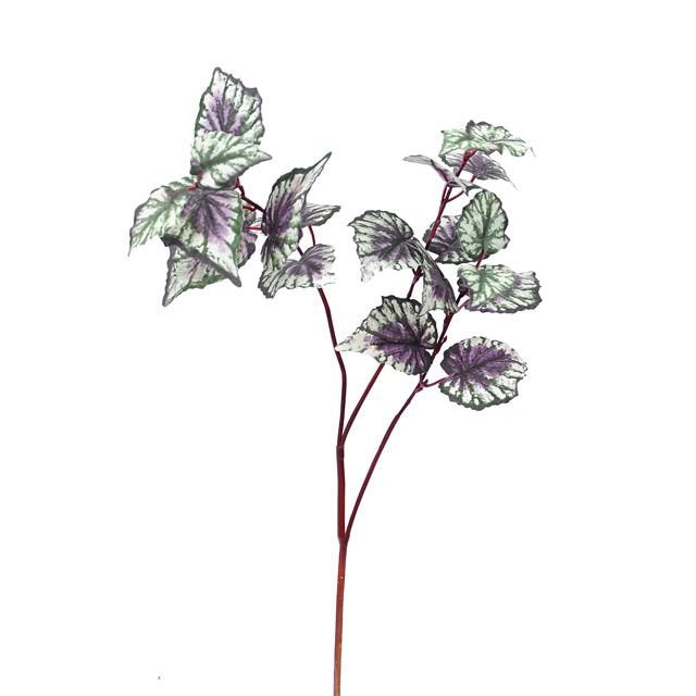 Begonia Spray 65cm