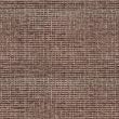 Euphoria Mulberry