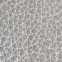 Rangers Ice