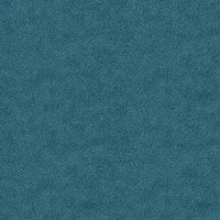 Stingray Indigo