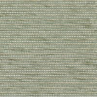 Horizon Seagrass