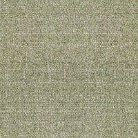 Speckle Vine