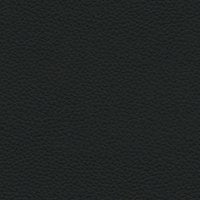 Cambridge Black