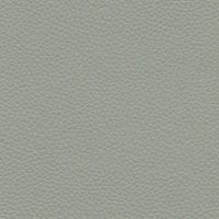 Cambridge Grey