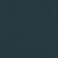 Cambridge Navy