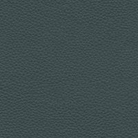 Cambridge Petrol Blue