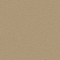 Cambridge Plaster