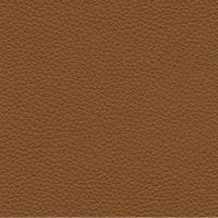 Cambridge Tan