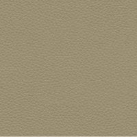 Cambridge Taupe