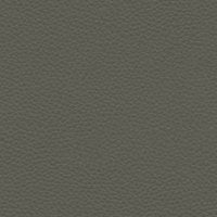 Capri Grey