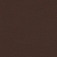 Capri Oak