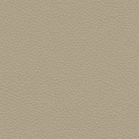 Capri Putty