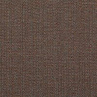 Abelia - Chocolate