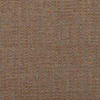 Abelia - Caramel