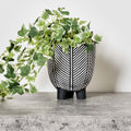 Cement Leaf Vein Pot- Medium