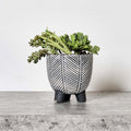 Cement Leaf Vein Pot - Small