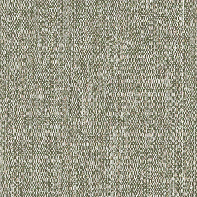 Dune Serpentine