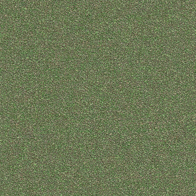 Flourish Olive