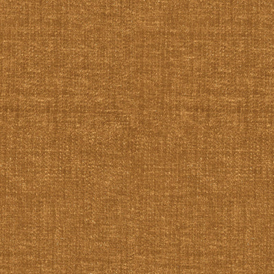 Harmony Ochre