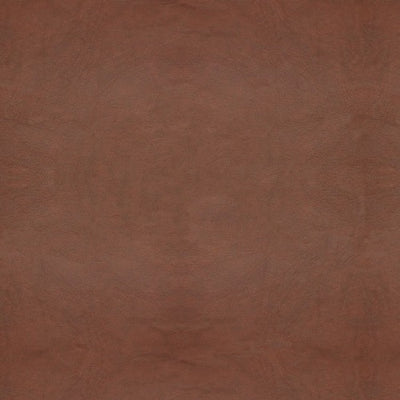 Revolution Tan
